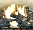 Gas Fireplace Logs Home Depot Best Of Home Depot Fireplace Logs – Mobiletycoon