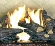 Gas Fireplace Logs Home Depot Best Of Home Depot Fireplace Logs – Mobiletycoon