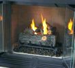 Gas Fireplace Logs Home Depot Elegant Home Depot Fireplace Logs – Mobiletycoon