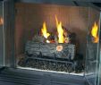 Gas Fireplace Logs Home Depot Elegant Home Depot Fireplace Logs – Mobiletycoon