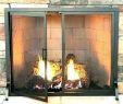 Gas Fireplace Logs Home Depot Fresh Home Depot Fireplace Accessories