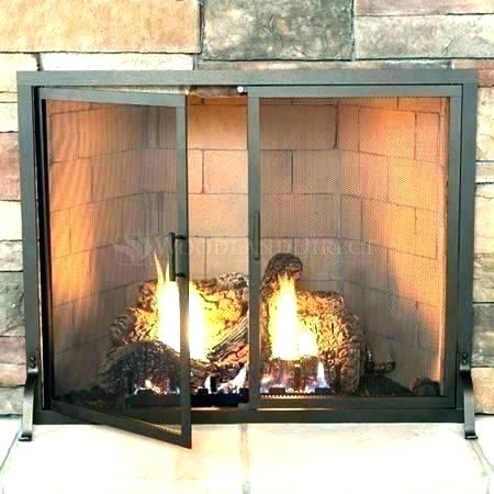 Gas Fireplace Logs Home Depot Fresh Home Depot Fireplace Accessories