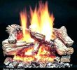 Gas Fireplace Logs Home Depot New Home Depot Fireplace Logs – Mobiletycoon