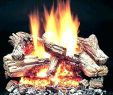 Gas Fireplace Logs Home Depot New Home Depot Fireplace Logs – Mobiletycoon