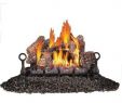 Gas Fireplace Logs Home Depot Unique 30 In Vent Free Propane Gas Log Set