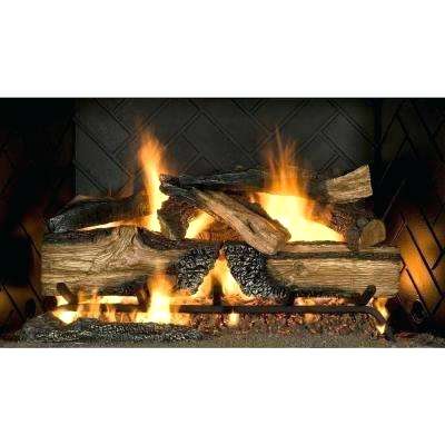 Gas Fireplace Logs Home Depot Unique Home Depot Fireplace Logs – Mobiletycoon