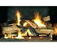 Gas Fireplace Logs Lowes Best Of Fireplace Amazing Small Electric Stove top Amusing Gas