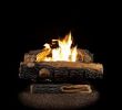 Gas Fireplace Logs Near Me Fresh Oakwood 22 75 In Vent Free Propane Gas Fireplace Logs with thermostatic Control