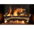 Gas Fireplace Logs Reviews Awesome Emberglow 18 In Timber Creek Vent Free Dual Fuel Gas Log