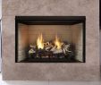 Gas Fireplace Logs Vent Free Beautiful Fireplaces & More Vent Free