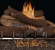 Gas Fireplace Logs Vent Free Beautiful Mnf30ope Lmf30gtab