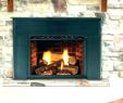 Gas Fireplace Logs with Blower Beautiful Fireplace Fan for Wood Burning Blower – Ecapsule