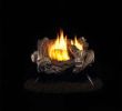 Gas Fireplace Logs with Blower Best Of 18 In Vent Free Propane Gas Log Set with Manual Control