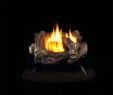 Gas Fireplace Logs with Blower Best Of 18 In Vent Free Propane Gas Log Set with Manual Control