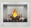 Gas Fireplace Logs with Blower Best Of Napoleon Riverside 36 Clean Face Outdoor Gas Fireplace