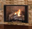 Gas Fireplace Logs with Blower Elegant astria Fireplaces & Gas Logs