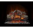 Gas Fireplace Logs with Remote Control Beautiful 24 In Electric Log Set with Remote Control