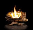 Gas Fireplace Logs with Remote Elegant American Elm 24 In Vent Free Propane Gas Fireplace Logs