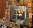 Gas Fireplace Maintenance Companies Luxury Wood Fireplaces – Tagged "popular Brands Heat & Glo