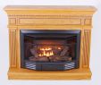 Gas Fireplace Mantels Elegant Building Gas Fireplace