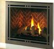Gas Fireplace Parts Elegant Majestic Gas Fireplace Pilot Light Instructions Fireplace