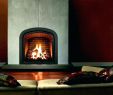 Gas Fireplace Pilot Fresh Majestic Gas Fireplace Pilot Light Instructions Fireplace
