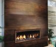 Gas Fireplace Remodel Best Of Kaminwand
