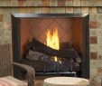 Gas Fireplace Repair Denver Awesome astria Fireplaces & Gas Logs