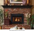 Gas Fireplace Screens Awesome Gas Fireplace Inserts & Logs Give You the Look Of Real Fire