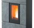Gas Fireplace Screens Luxury Pelletofen Mcz Ray