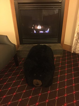 Gas Fireplace Seattle Awesome the Edgewater A Noble House Hotel Picture Of the