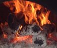 Gas Fireplace Seattle Lovely Wood Fired Oven Bild Von Gastronomic Trekking Positano