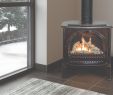 Gas Fireplace Service and Repair Unique Maple Mtn Fireplace