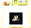 Gas Fireplace Surround Kits New Anatomy Fireplace Mantel Code Tario A Hearth – Hnsakura