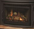 Gas Fireplace Will Not Light Lovely Majestic Gas Fireplace Pilot Light Instructions Fireplace
