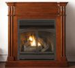 Gas Log Fireplace Best Of Duluth forge Dual Fuel Ventless Fireplace 32 000 Btu