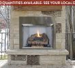 Gas Log Fireplace Inserts Lovely Valiant Od