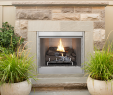 Gas Log Fireplace Kit Lovely Vre4200 Gas Fireplaces