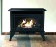 Gas Log Fireplace Repair Luxury Fireplace Kit Indoor – Boyacarural