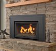 Gas Log Insert for Existing Fireplace New Pros & Cons Of Wood Gas Electric Fireplaces