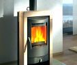 Gas Stove Fireplace Beautiful Heizen Mit Bioethanol Fireplace Interior Design Kamine