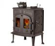 Gas Stove Fireplace Inspirational Kaminofen Globe Fire Et 8 Kw