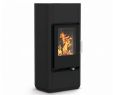 Gas Stove Fireplace Luxury Buderus Logastyle Convexus Wassergeführter Kaminofen 8 Kw