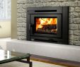 Gas Vs Wood Fireplace Beautiful the Passion Of Fireplaces and Stoves