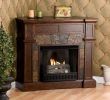 Gel Fireplace Insert Awesome Real Flame Gel Fireplace Charming Fireplace