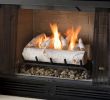Gel Fireplace Insert Lovely Real Flame Gel Fireplace Charming Fireplace