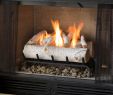 Gel Fireplace Insert Lovely Real Flame Gel Fireplace Charming Fireplace