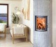Glass Door Fireplace Beautiful This is A Contemporary soapstone Stove Modern Features