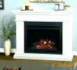 Glass Fireplace Screen Free Standing Lovely Free Standing Fireplace – Mercampo