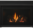 Heat and Glo Fireplace Manual New Escape Gas Fireplace Insert